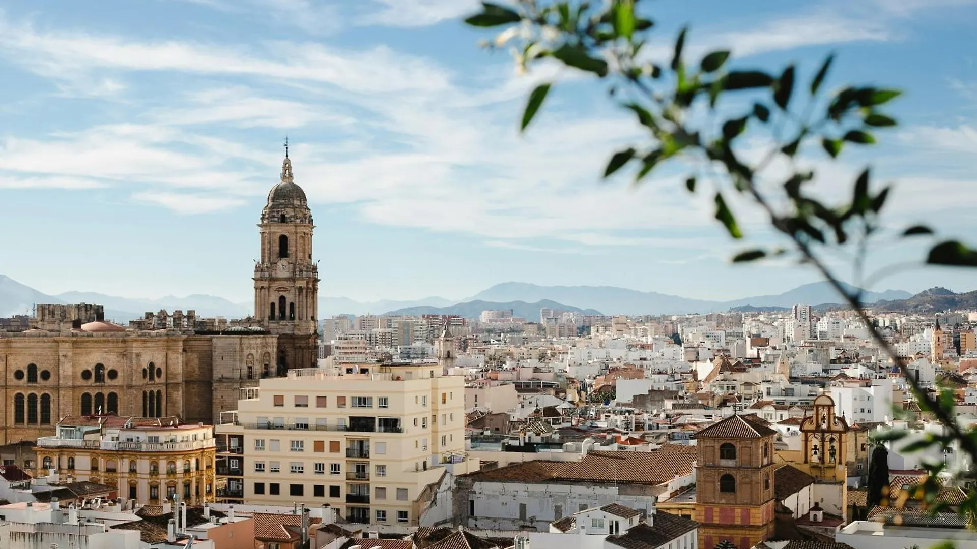 Διαμέρισμα Homely Malaga Pozos Dulces 8